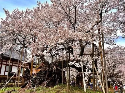 実相寺
