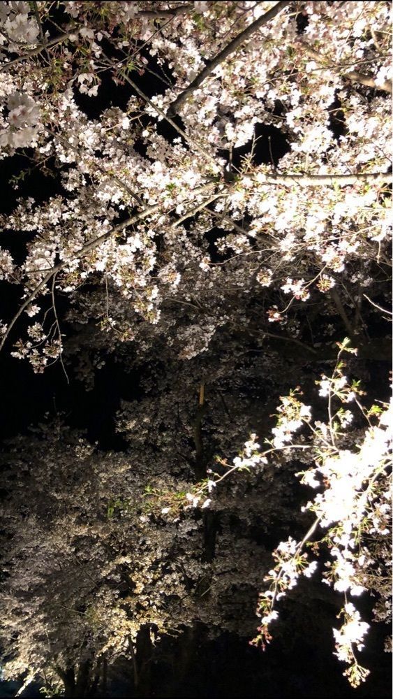 take.aさんが投稿した勝沼ぶどう郷駅に関する口コミの画像