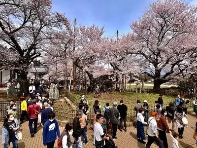 実相寺