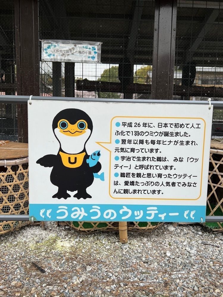 himbaさんが投稿した宇治川遊覧船に関する口コミの画像