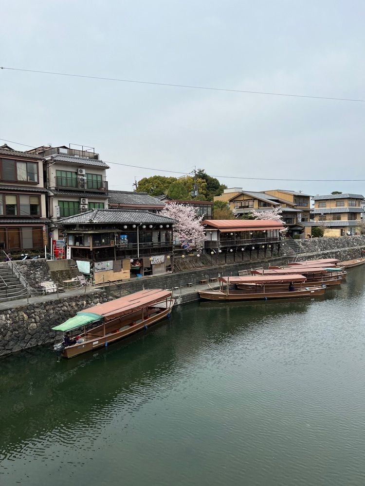 himbaさんが投稿した宇治川遊覧船に関する口コミの画像