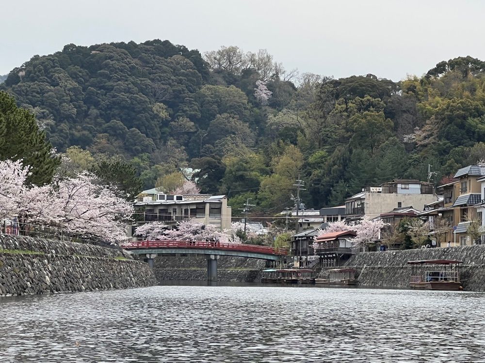 himbaさんが投稿した宇治川遊覧船に関する口コミの画像