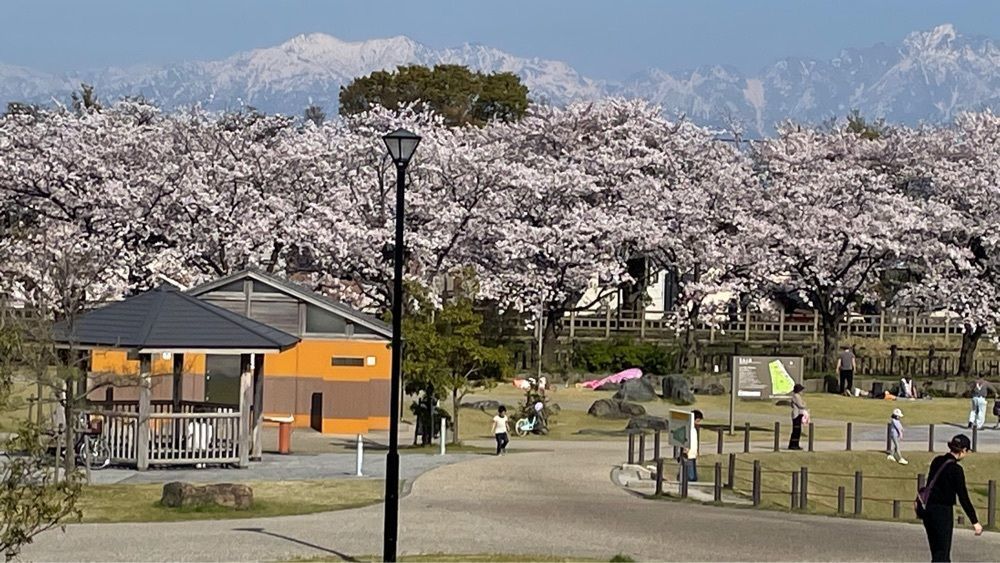 たか富山人さんが投稿した鮨 難波（【旧店名】寿司割烹・難波）に関する口コミの画像