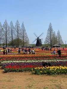 あけぼの山農業公園 売店