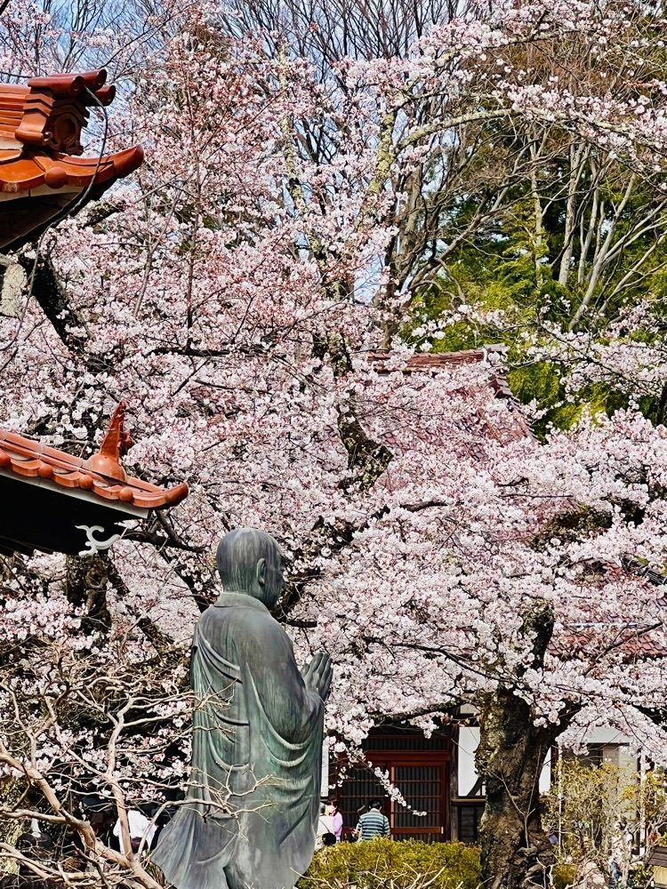 ビンカさんが投稿した実相寺に関する口コミの画像