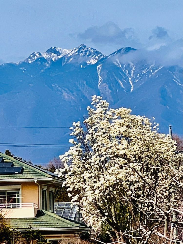 ビンカさんが投稿した実相寺に関する口コミの画像