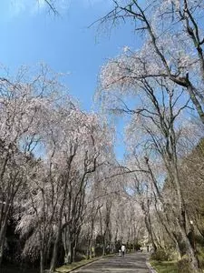 世羅甲山ふれあいの里