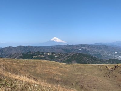 さくらの里のさくら 8枚目