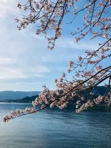 海津大崎
