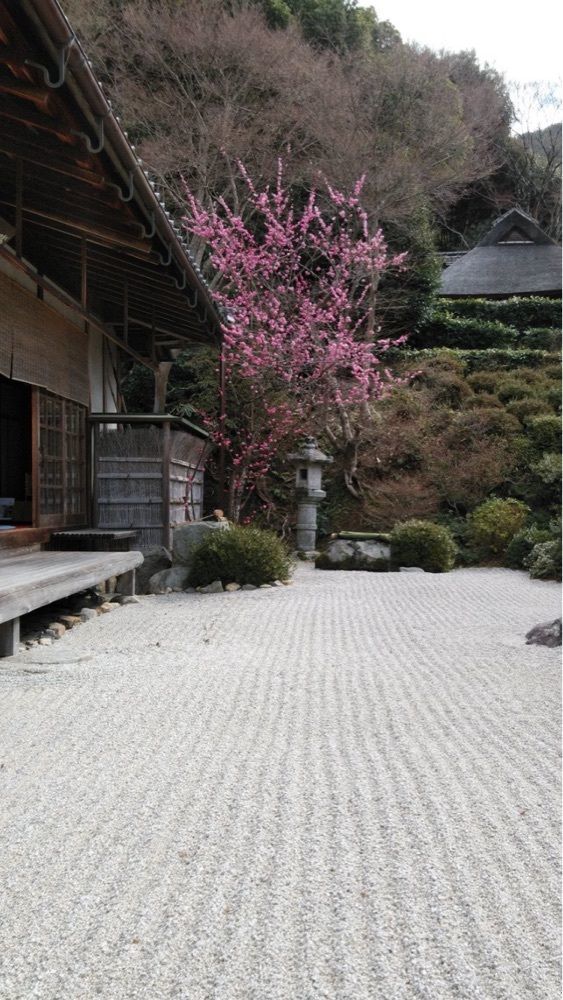 京都を巡る会・「武」さんが投稿した金福寺に関する口コミの画像