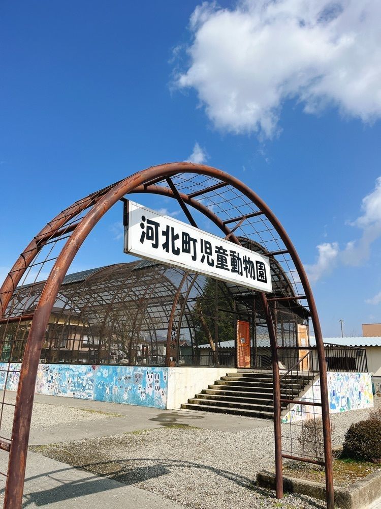 猫なぎ。さんが投稿したクラッカーに関する口コミの画像