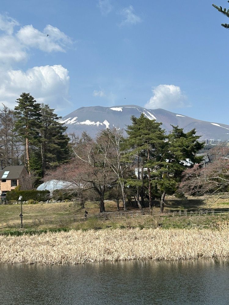 jun1216さんが投稿した華かざりに関する口コミの画像