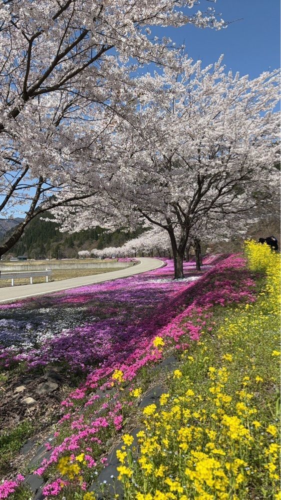 令和 Nin1000さんが投稿した白鳥高原駅に関する口コミの画像