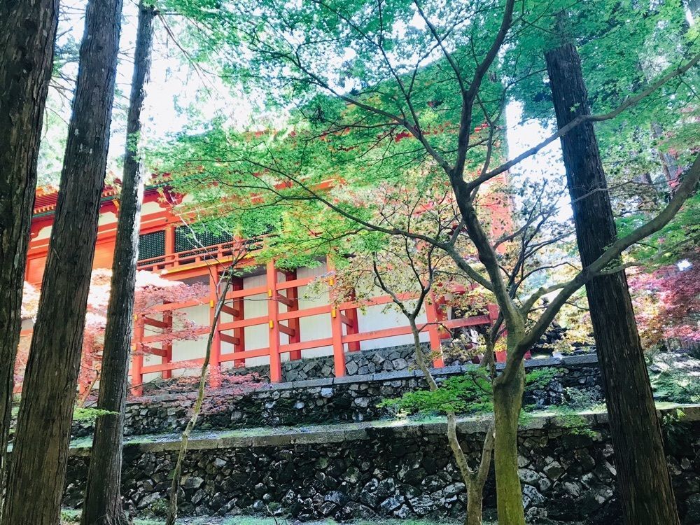 So-kunさんが投稿した比叡山・奥比叡ドライブウェイに関する口コミの画像