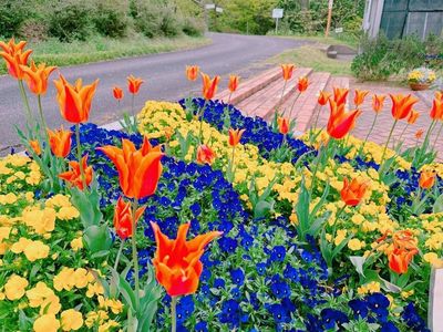 半田山植物園 4枚目