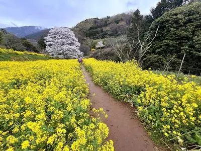 蓑毛自然観察の森