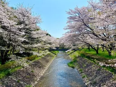 セブンイレブン 栃木運動公園前