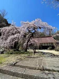 大隣寺