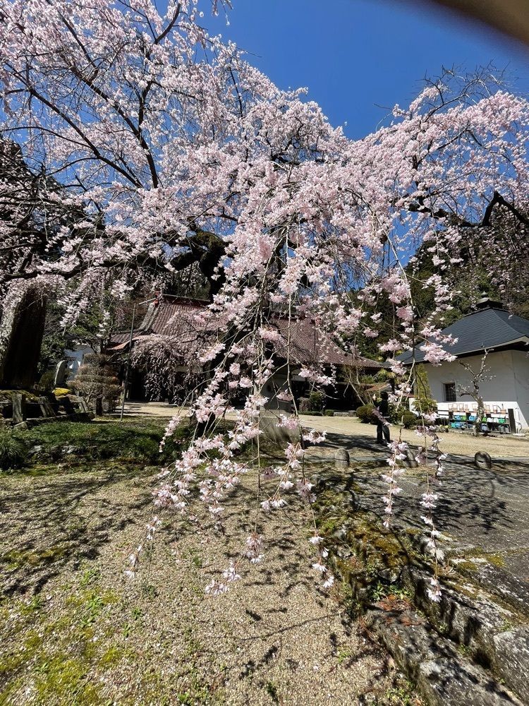 扇珠さんが投稿した大隣寺に関する口コミの画像