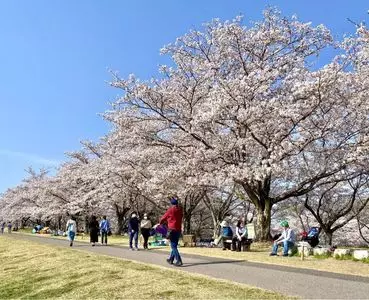 さくら市ミュージアム－荒井寛方記念館－