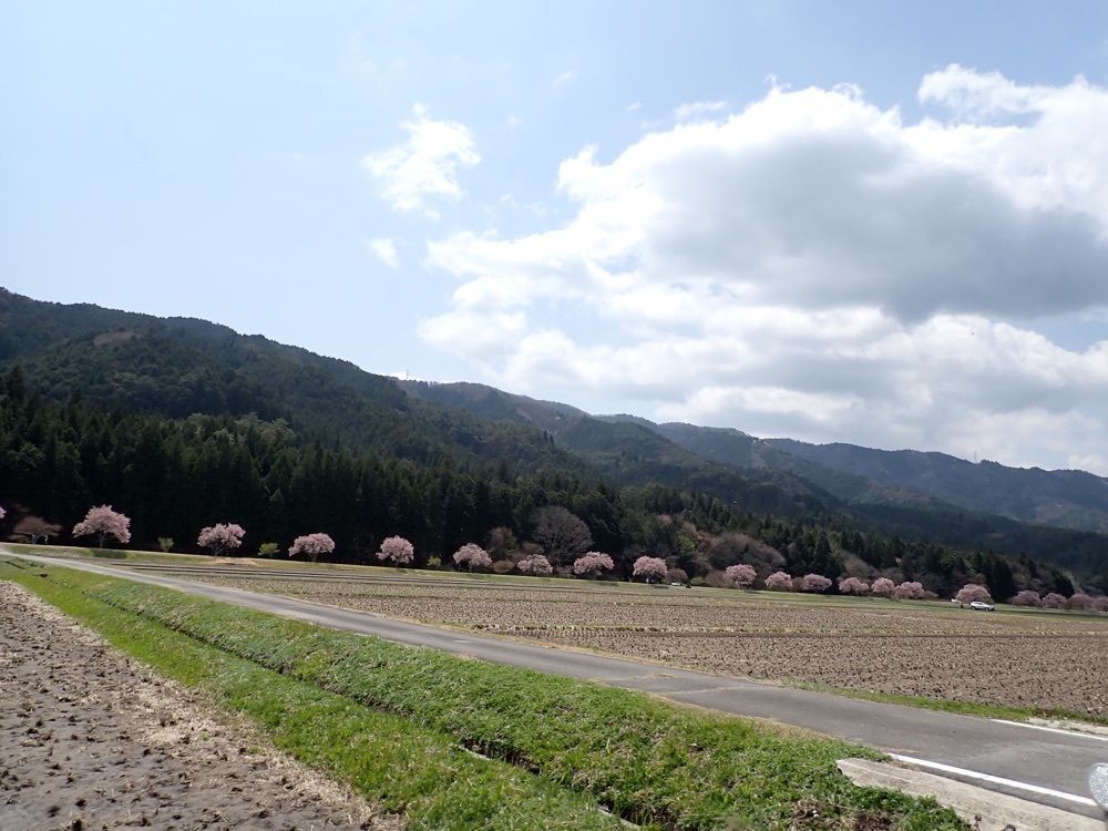 Howl Monさんが投稿した道の駅 アグリステーションなぐらに関する口コミの画像