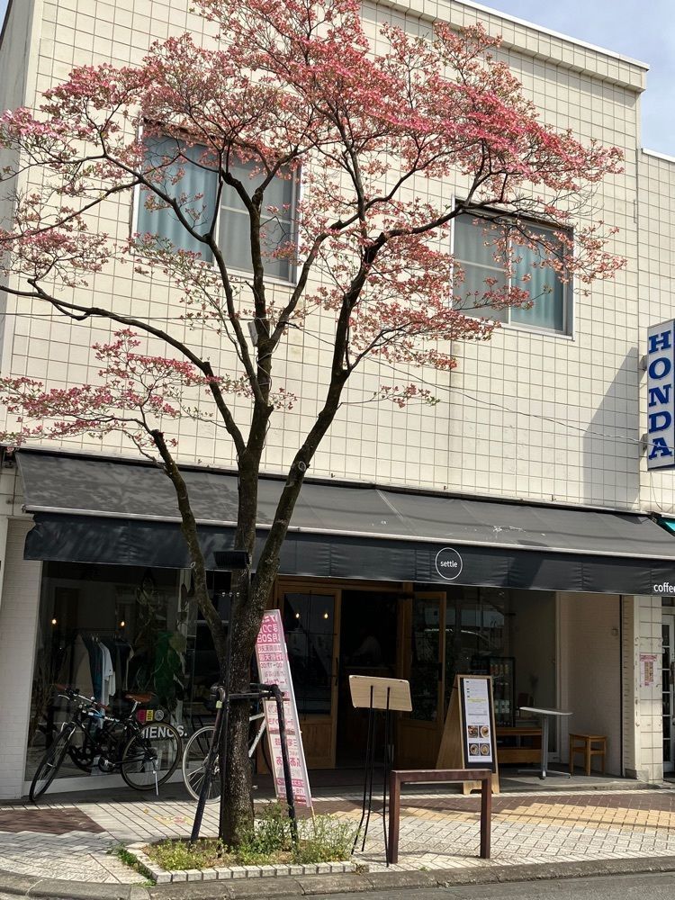 Nさんが投稿したsettle（セトル）に関する口コミの画像