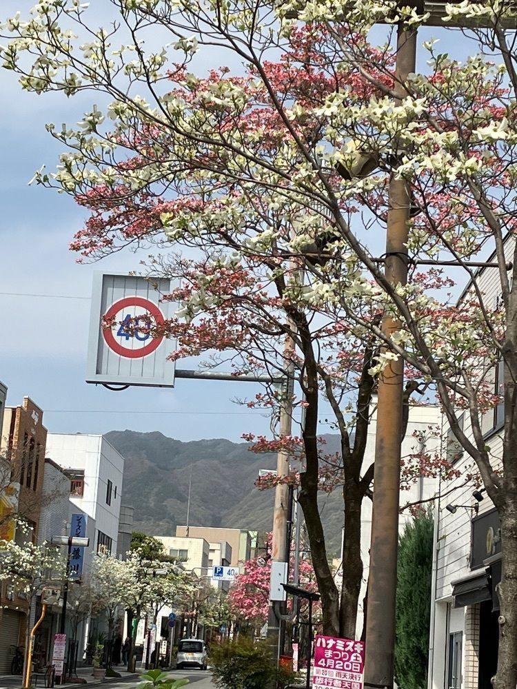 Nさんが投稿したsettle（セトル）に関する口コミの画像