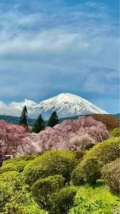 富士霊園
