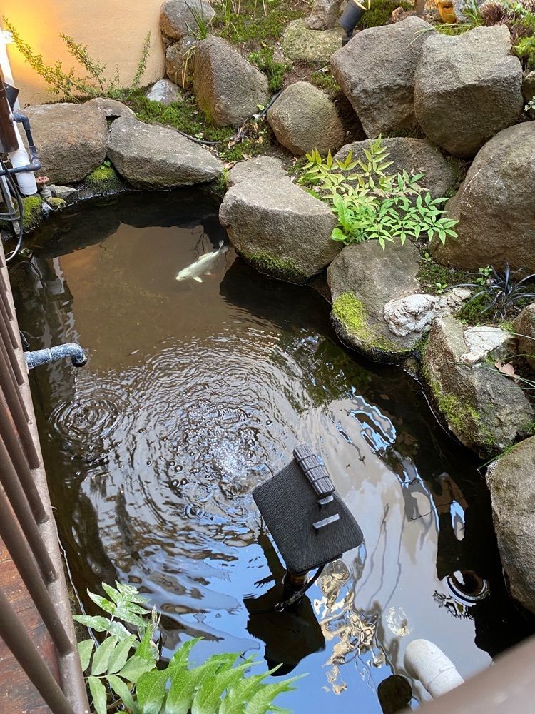 ajisaiさんが投稿した北野神社（中野）に関する口コミの画像
