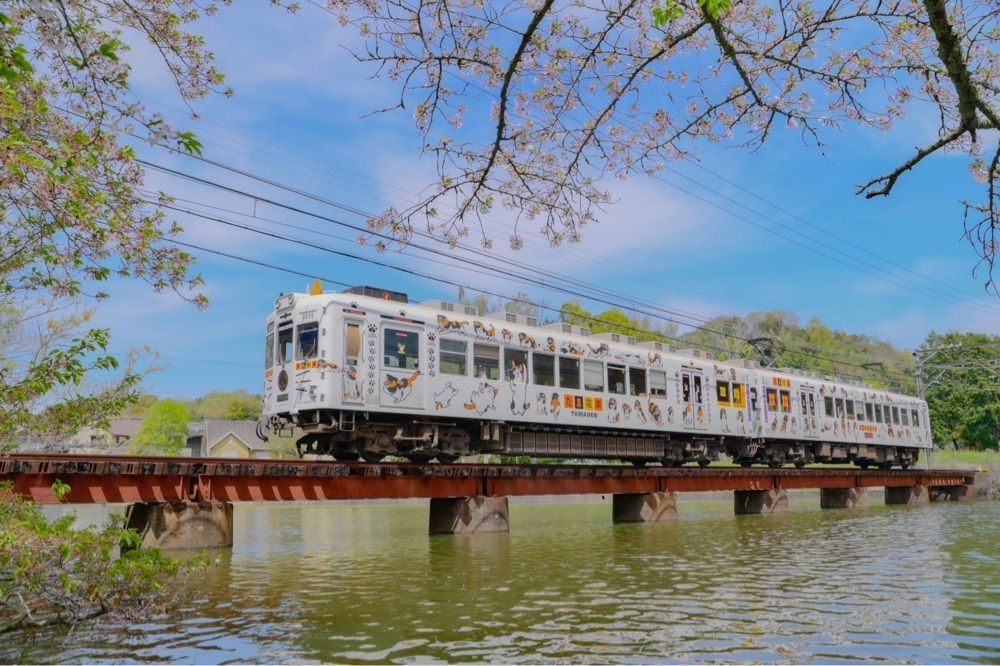 佳さんが投稿した大池遊園駅に関する口コミの画像
