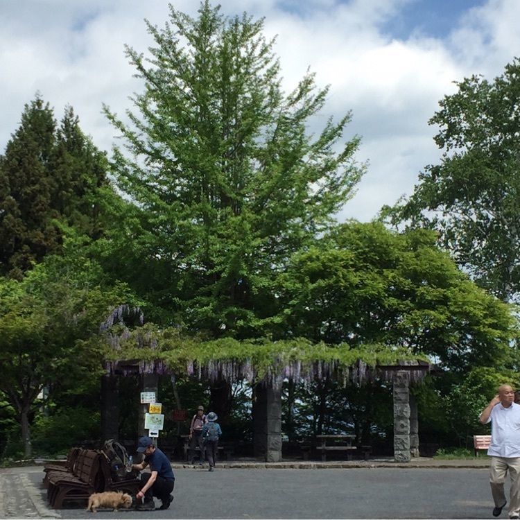  retro_climing_7137さんが投稿した御岳山駅売店に関する口コミの画像