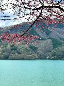 草木ドライブイン