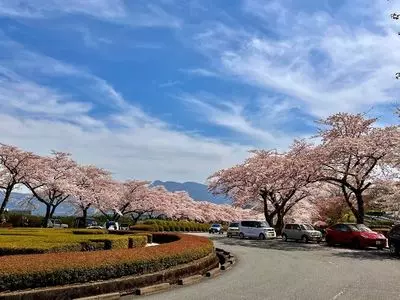 富士霊園