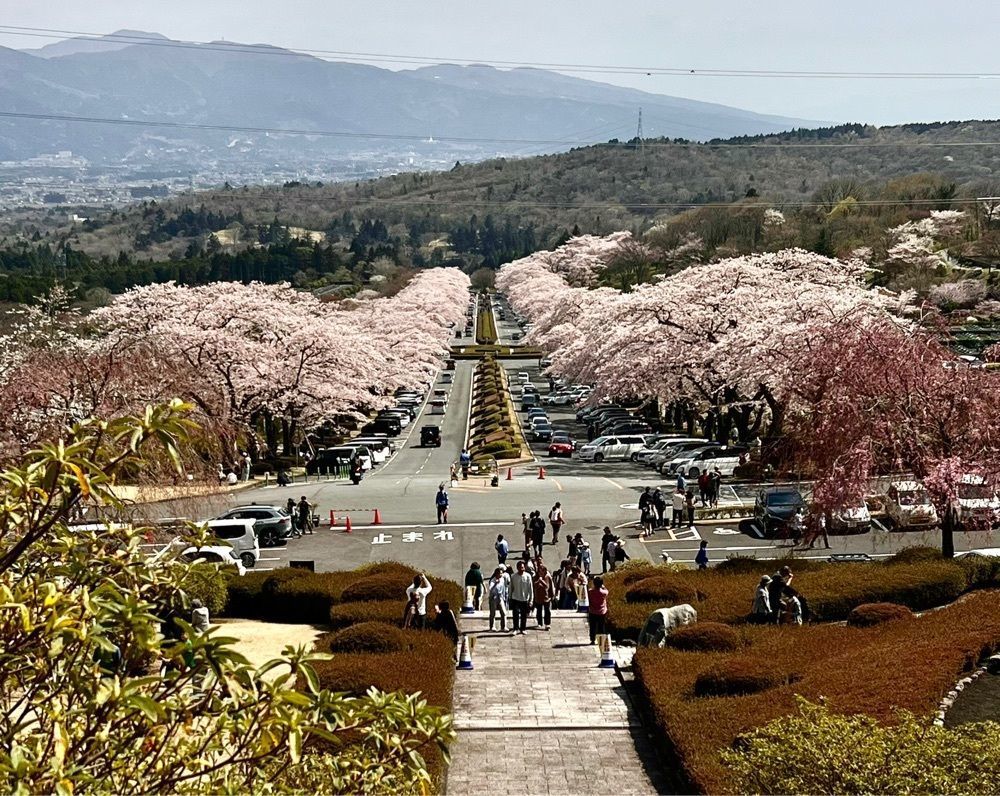 ビンカさんが投稿した富士霊園に関する口コミの画像