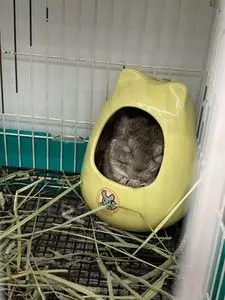 メイクマン 具志川店