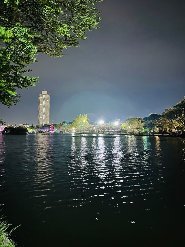 nico☺︎さんが投稿した浮間桜草圃場に関する口コミの画像