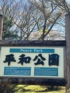 平和公園の桜
