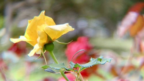 宮崎県総合運動公園 2枚目