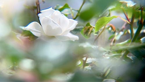 宮崎県総合運動公園 3枚目