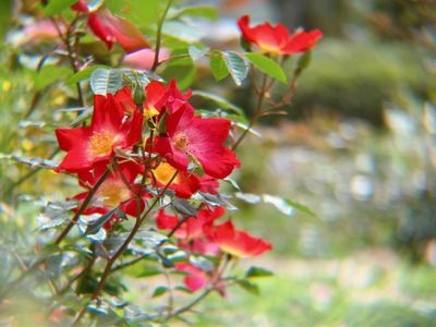 宮崎県総合運動公園 4枚目