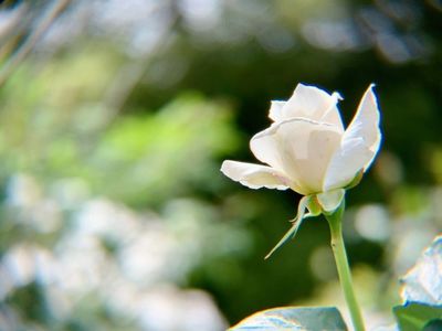 宮崎県総合運動公園 5枚目