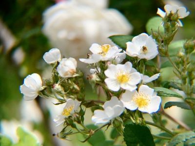 宮崎県総合運動公園 6枚目