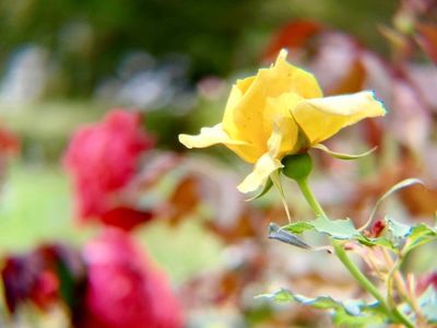 宮崎県総合運動公園 7枚目