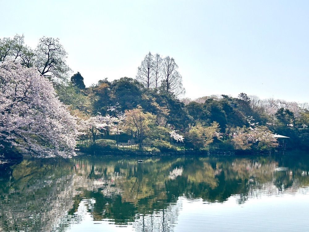 旅人さんが投稿した高岡古城公園お濠めぐり遊覧船利長号と利常号に関する口コミの画像