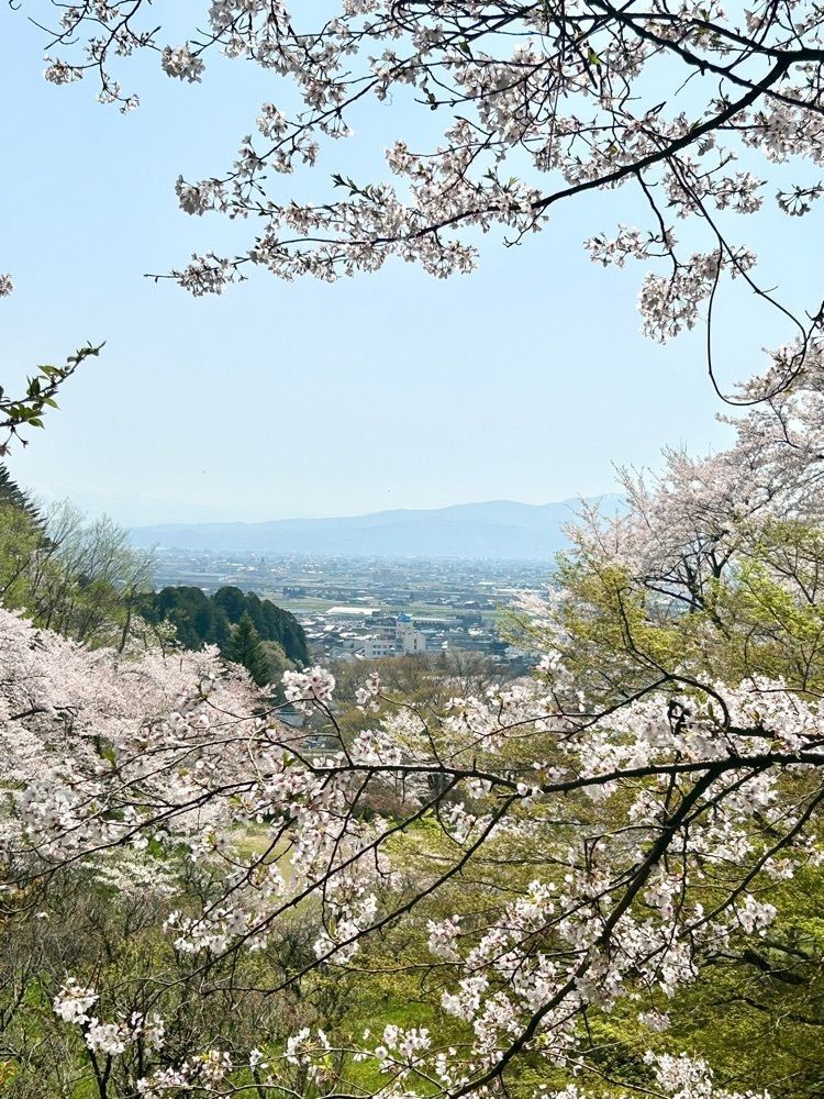 旅人さんが投稿した城山公園（富山県小矢部市）に関する口コミの画像