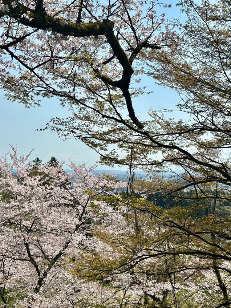 旅人さんが投稿した城山公園（富山県小矢部市）に関する口コミの画像