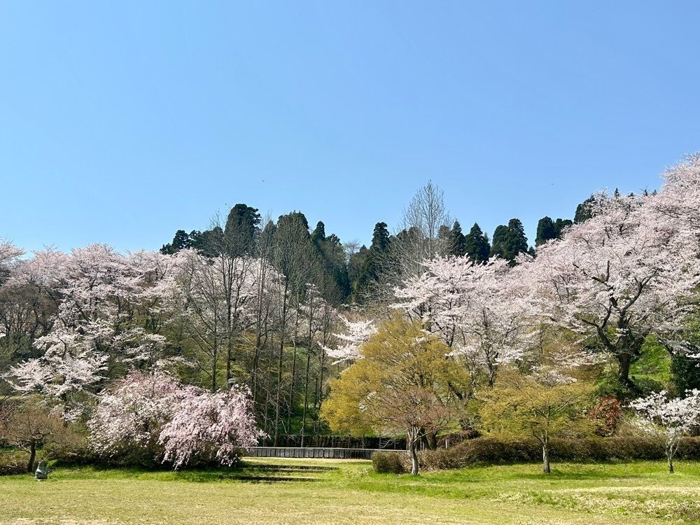 旅人さんが投稿した城山公園（富山県小矢部市）に関する口コミの画像