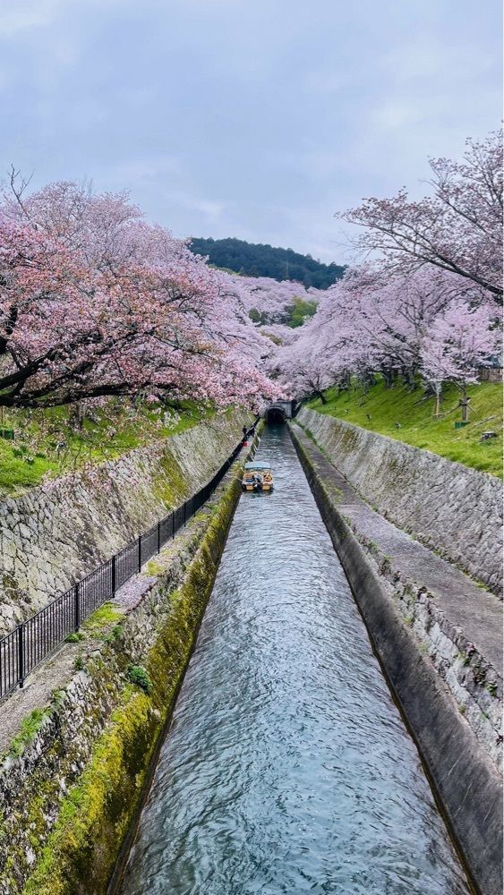 kei_koさんが投稿した琵琶湖疏水に関する口コミの画像