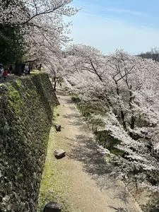 徴古館