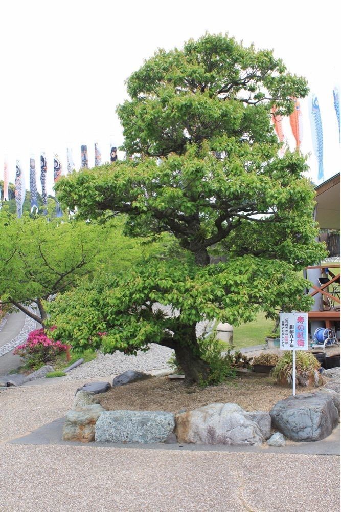 ＤＪゴン太さんが投稿したあらさわふる里公園に関する口コミの画像